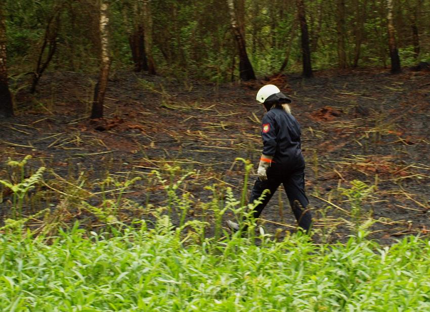 Waldbrand Bergisch Gladbach Bensberg P096.JPG